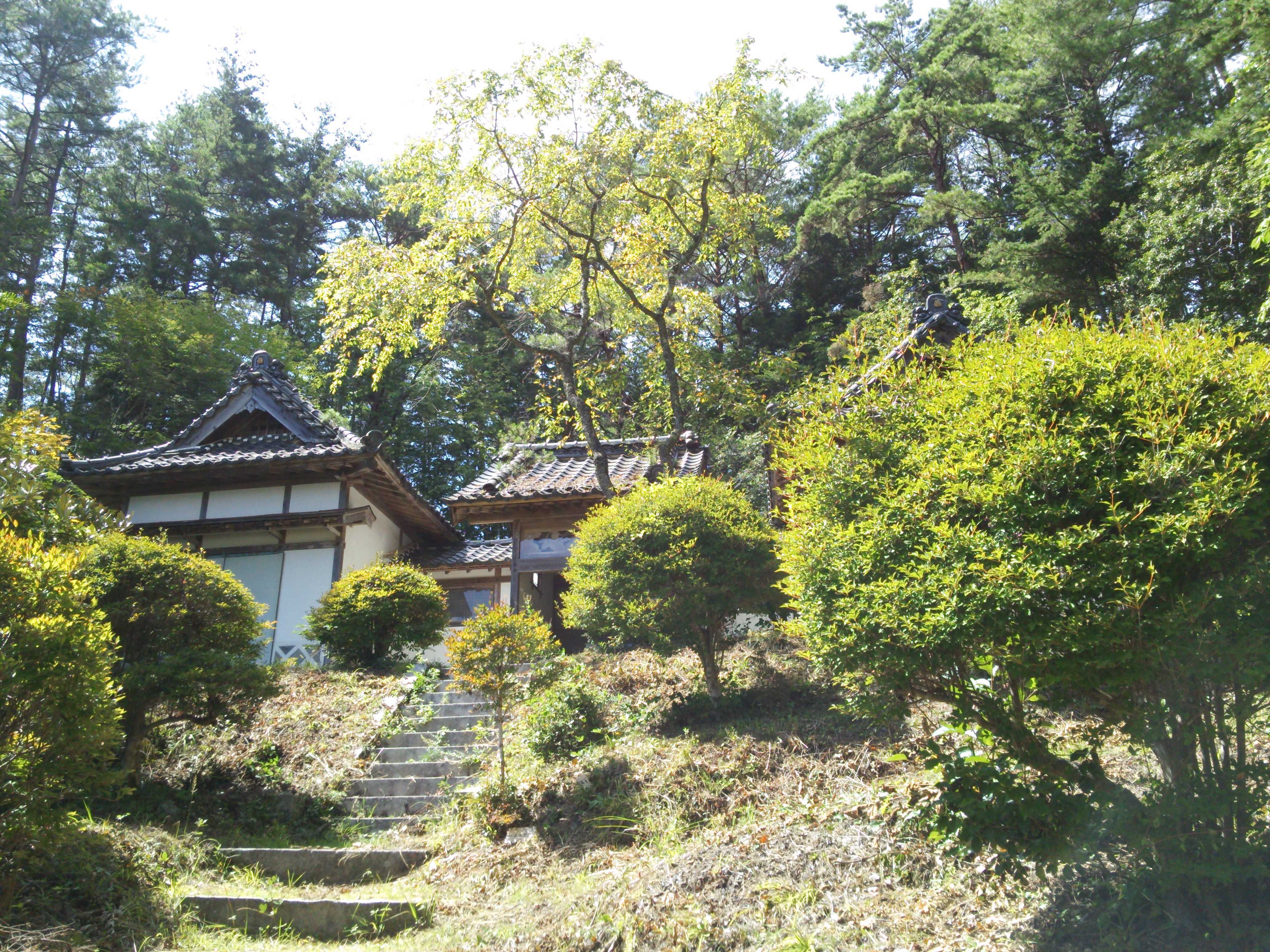 Traditional wooden buildings with tiled roofs nestled among green trees and shrubs on a hillside, with stone steps leading upward in warm natural light